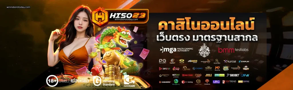 HISO23